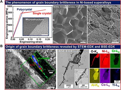 The application of in situ TEM on the grain boundary brittleness of precipitation-strengthened Ni-based superalloys: Recent progress and perspective